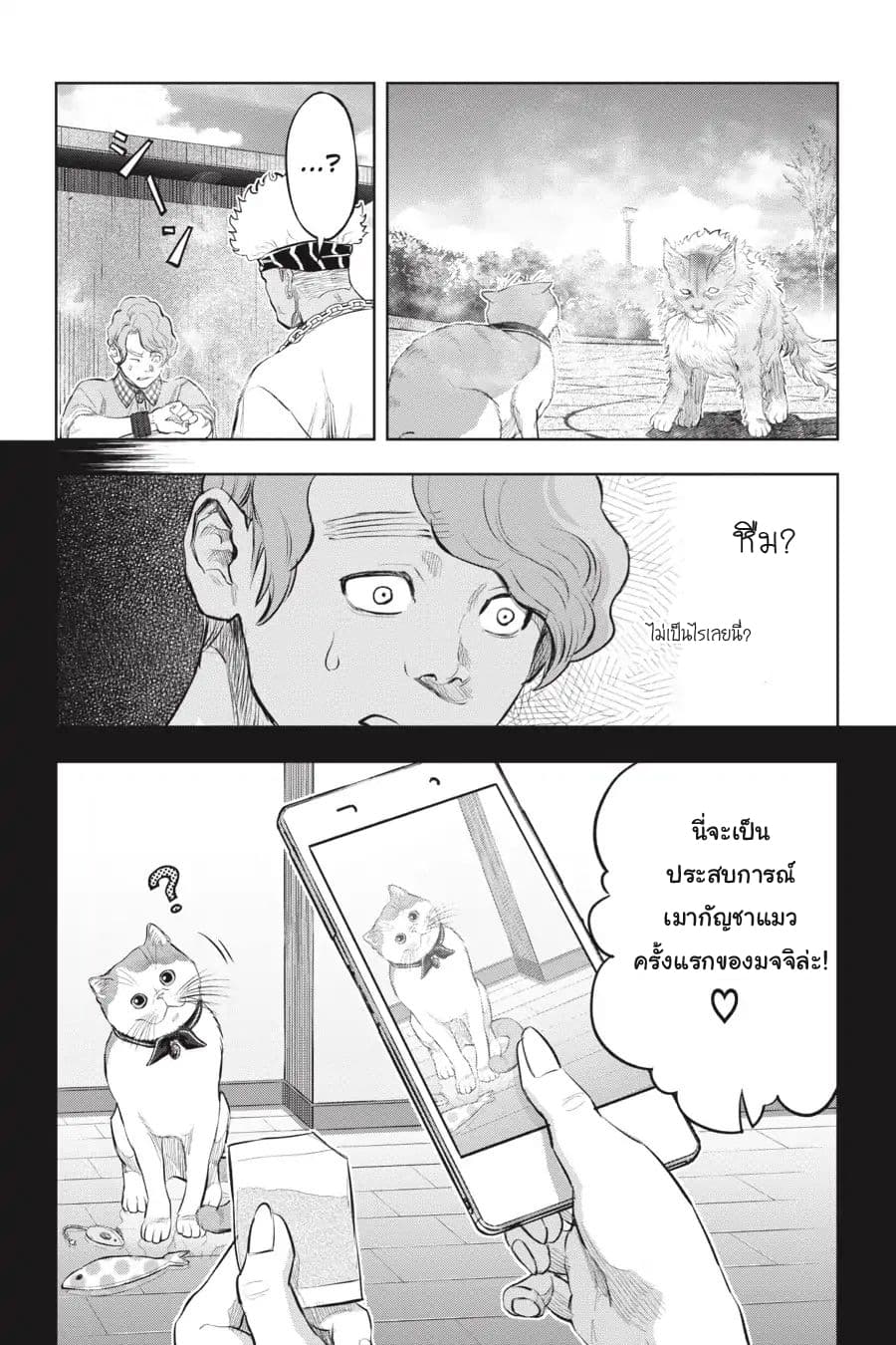 Nyankees 14-กลับมาพบกันอีกครั้ง