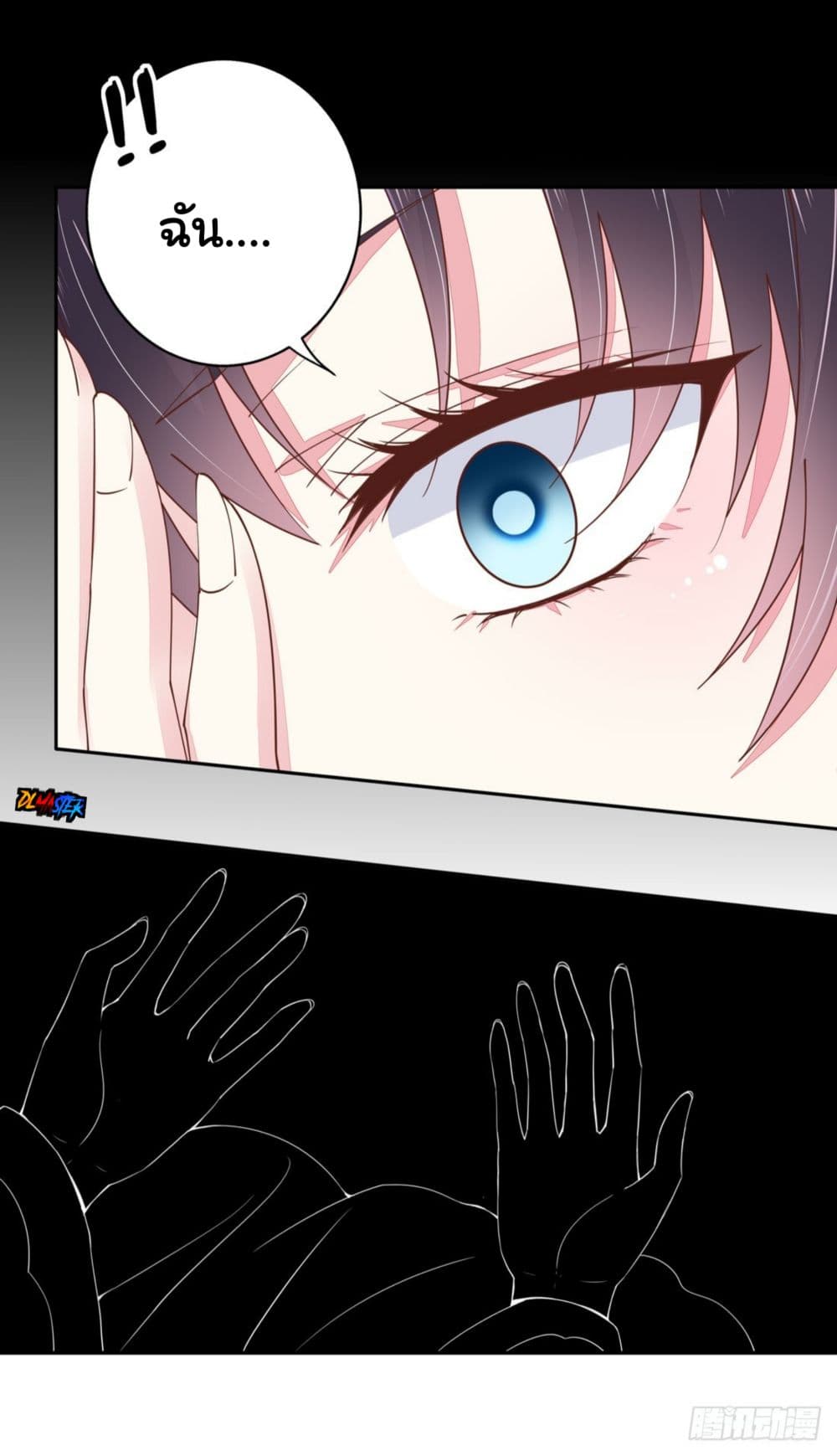 Pupillary Master 1-1