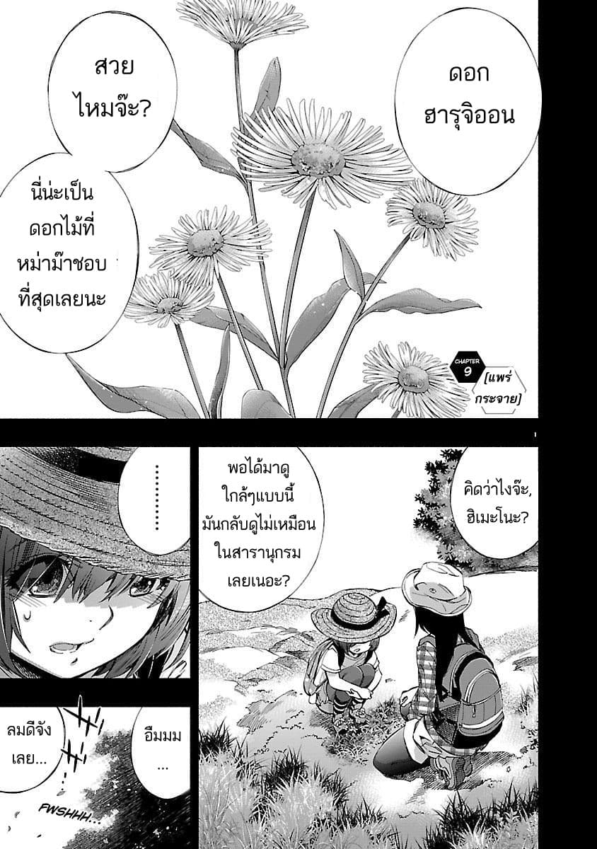 Himenospia 9-9
