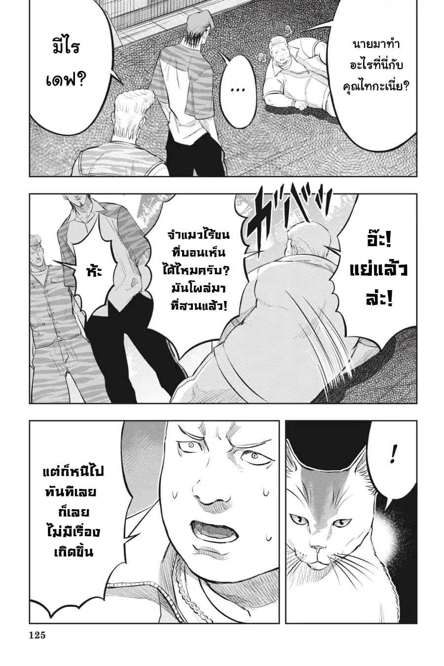 Nyankees 15-แมวสองพี่น้อง