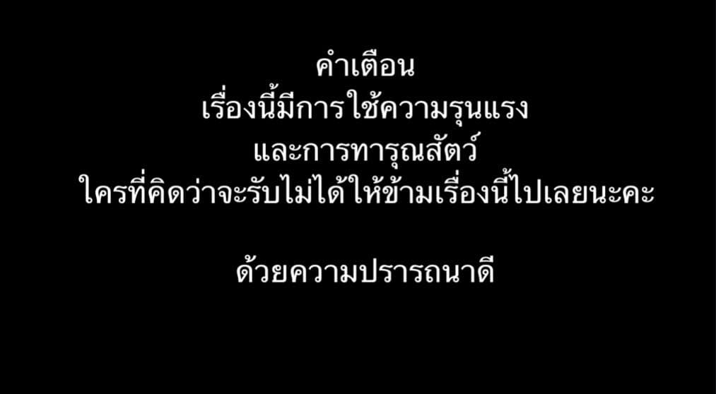 The Black Cat 1-1