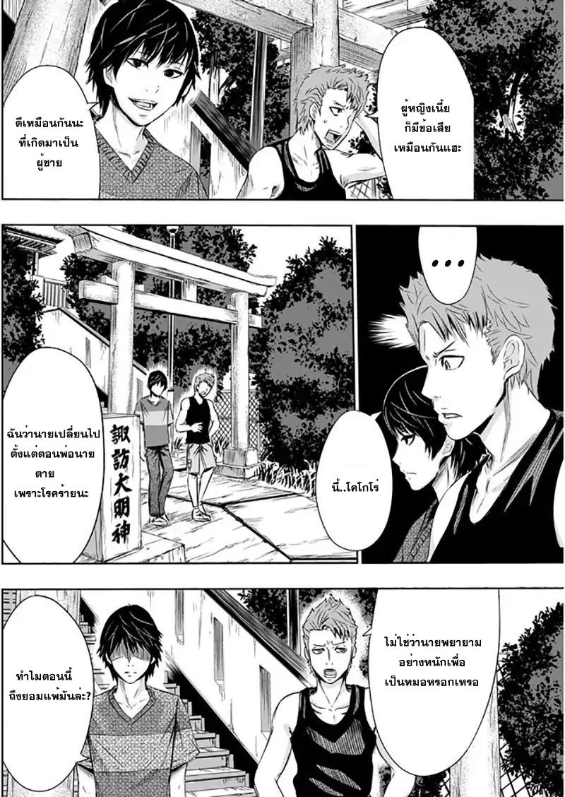 Tokyo Dragon 1-ดอกไม้ไฟ