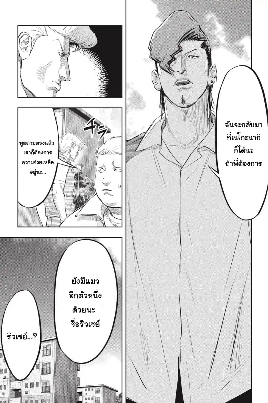 Nyankees 15-แมวสองพี่น้อง
