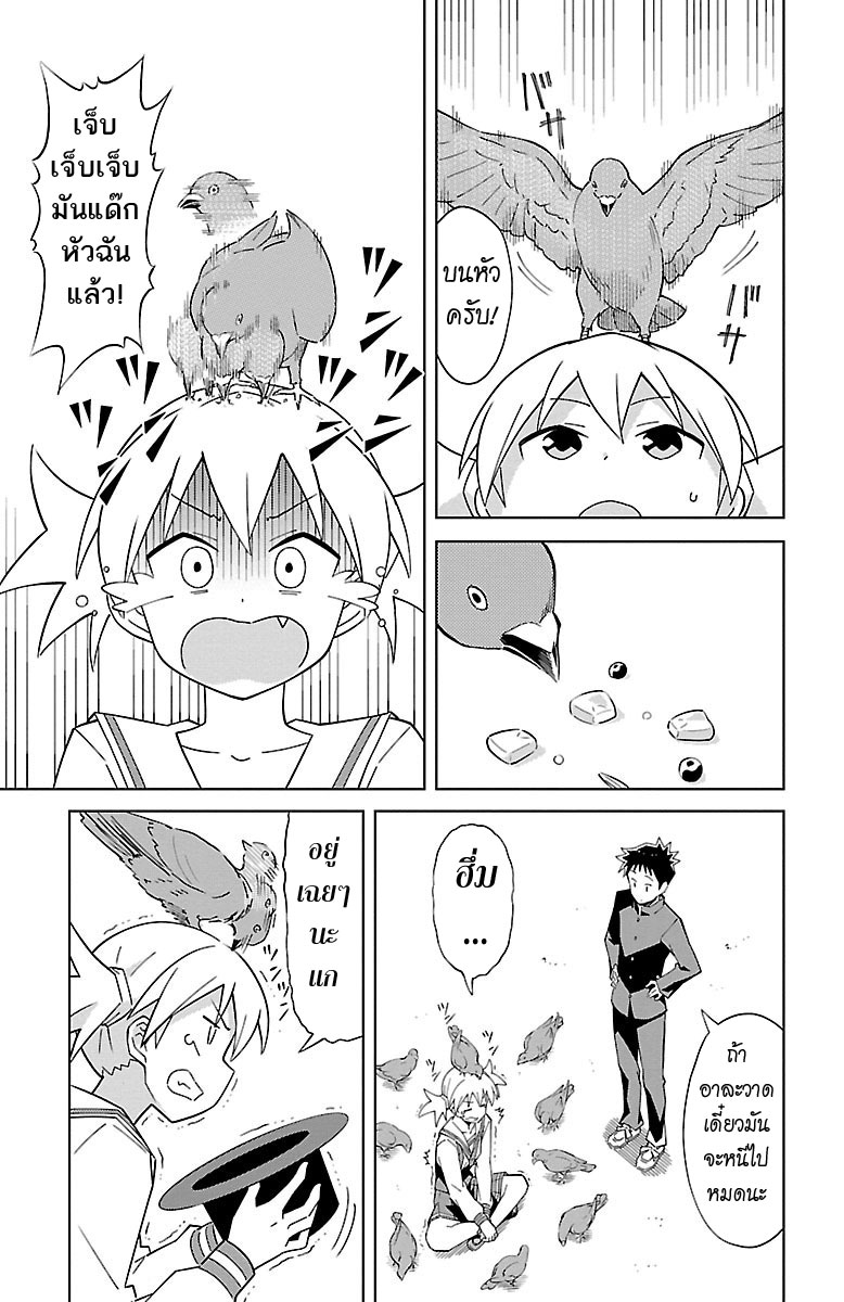 Atsumare! Fushigi Kenkyubu 6-ความลี้ลับของนกพิราบ