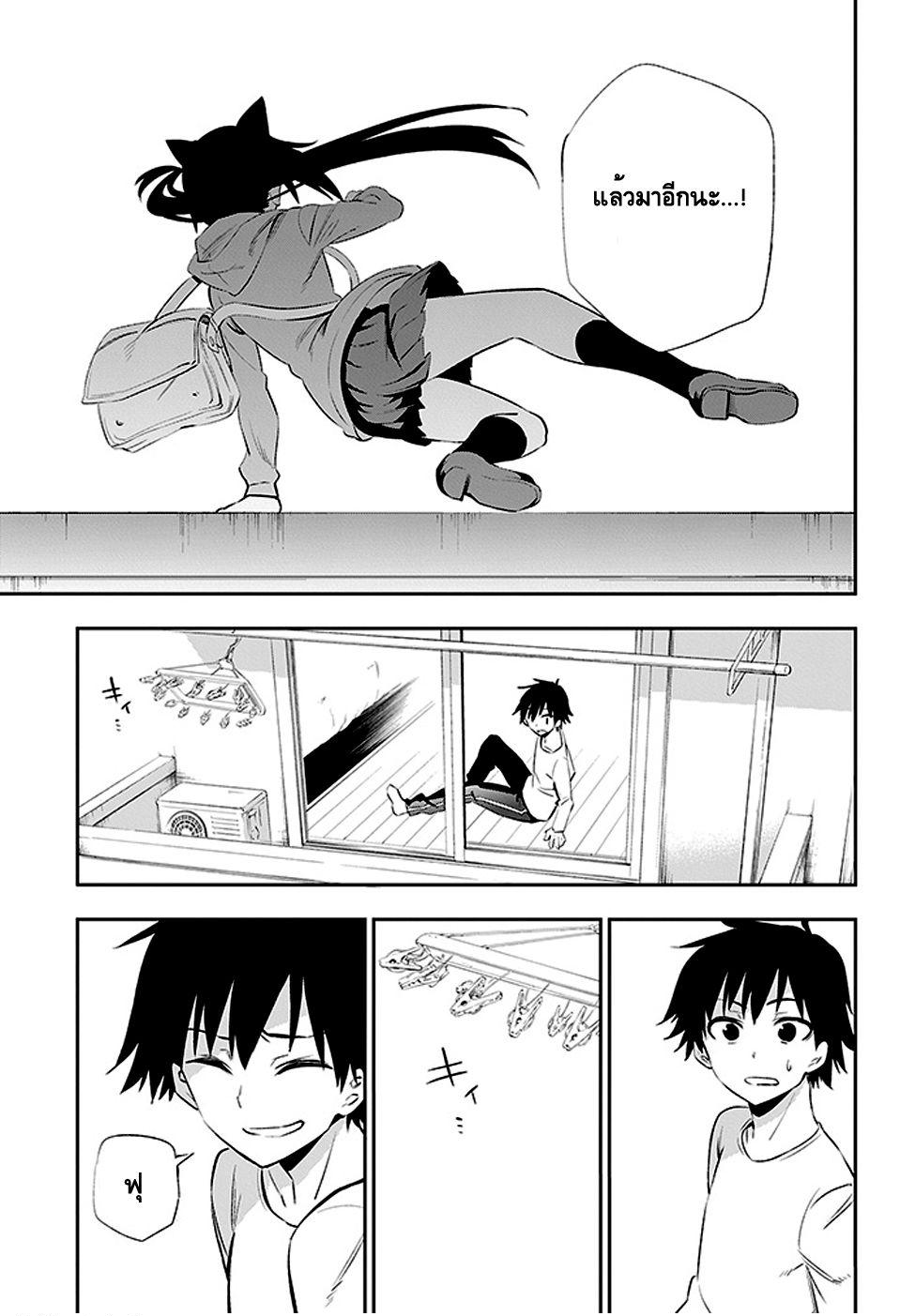 Urami Koi, Koi, Urami Koi 3-การตอบแทนบุญคุณของแมว