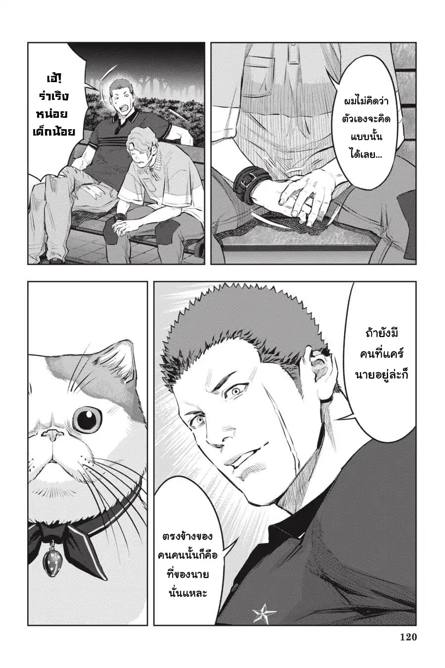 Nyankees 10-ลูกแมวหลงทาง