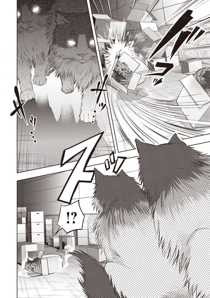 Nyankees 2-บอสแห่งเมืองเนโกะนากิ