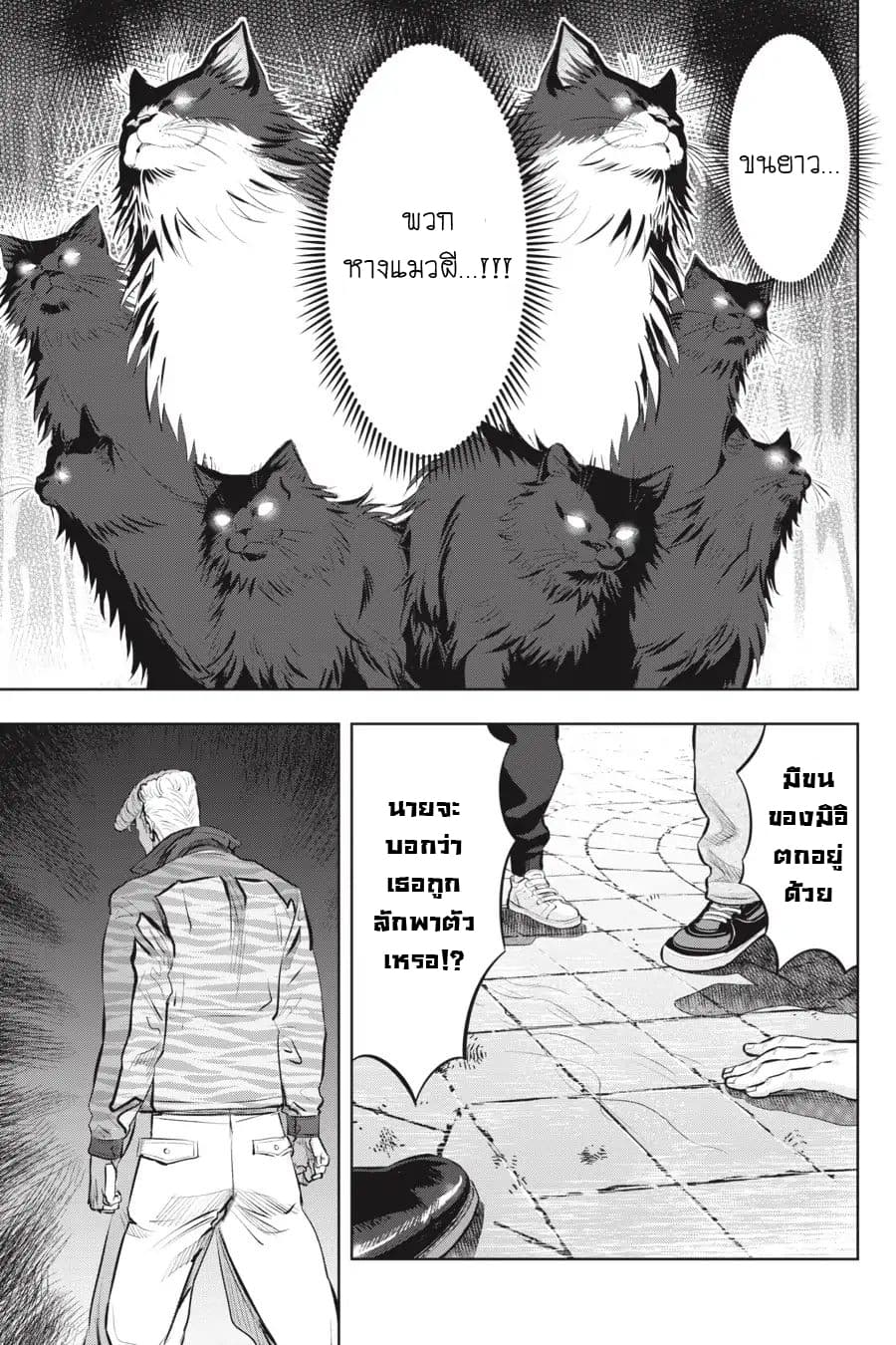 Nyankees 5-คืนที่จันทร์สาดส่อง