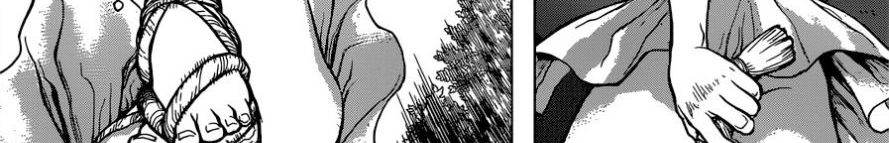 Dr.Stone 120-Top Secret