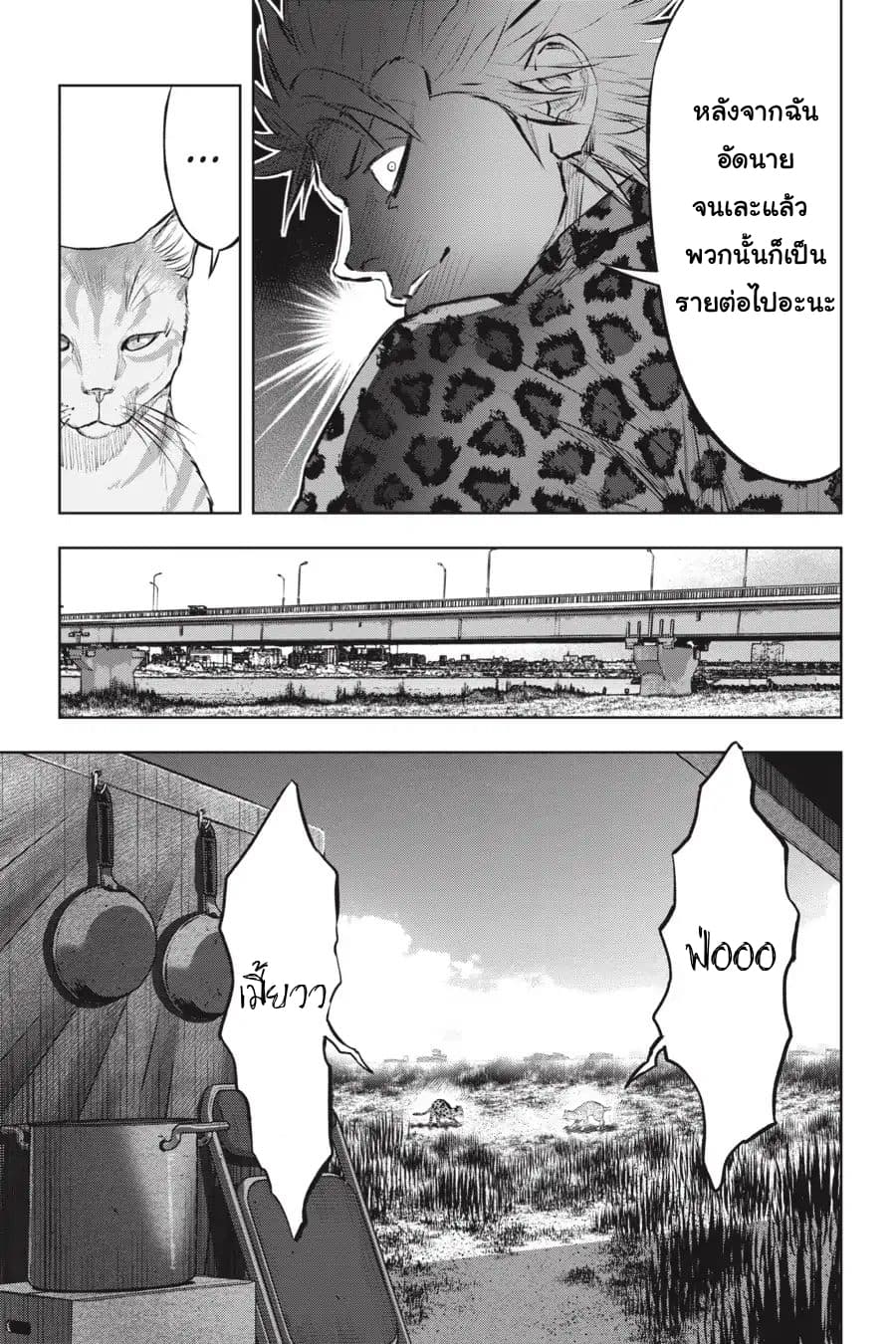 Nyankees 13-อ้วกก้อนขน