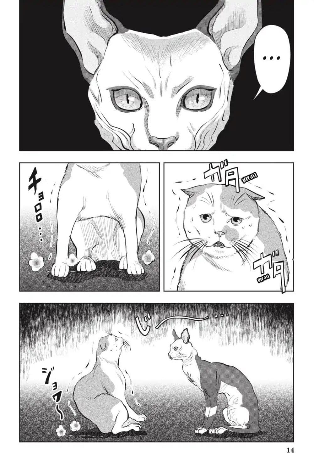 Nyankees 12-พร้อยลุย!