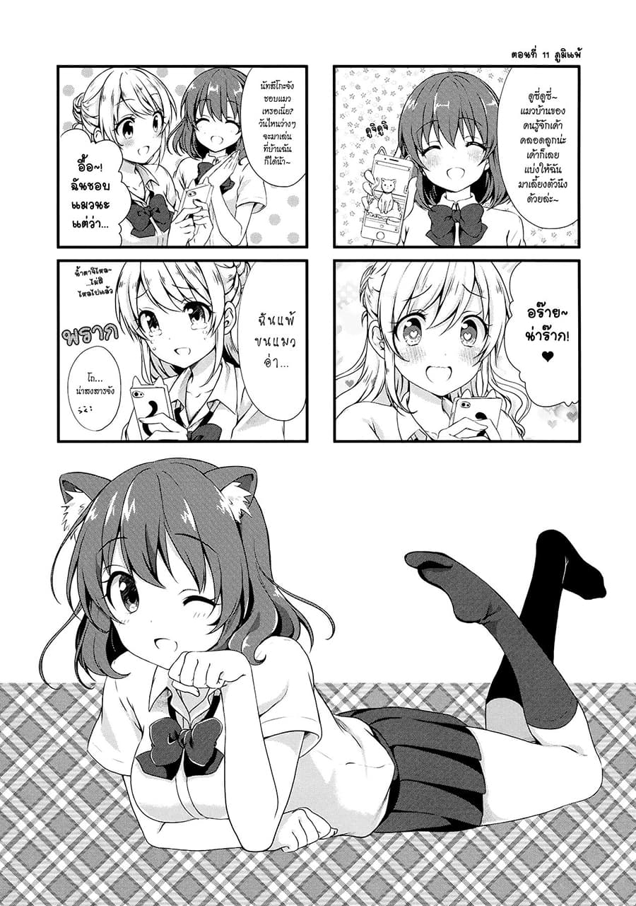 Swap ⇔ Swap 11-ภูมิแพ้