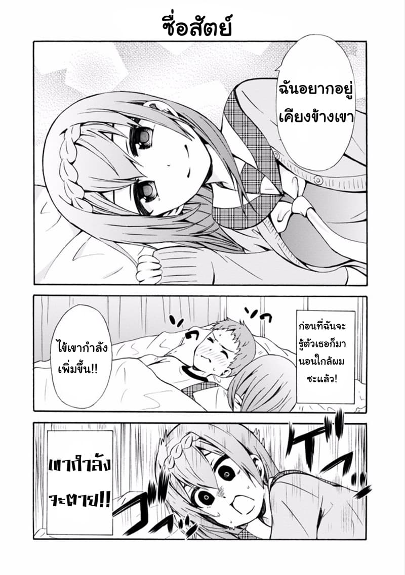 Suki x Suki 11-ไข้