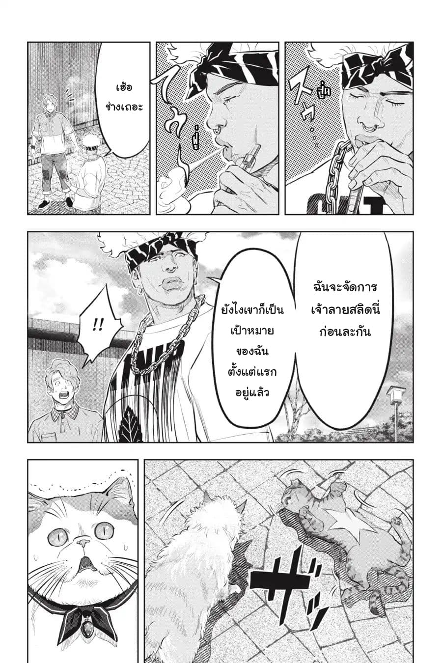 Nyankees 14-กลับมาพบกันอีกครั้ง