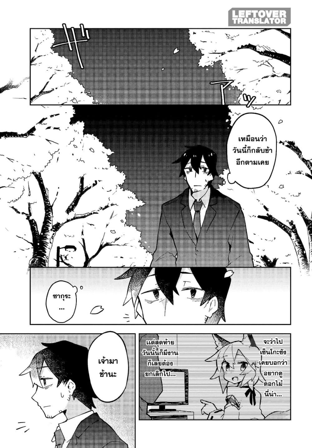 Sewayaki Kitsune no Senko-san เซ็นโกะซังเทพจิ้งจอกจอมป่วน 12-ซากุระบานสะพรั่ง