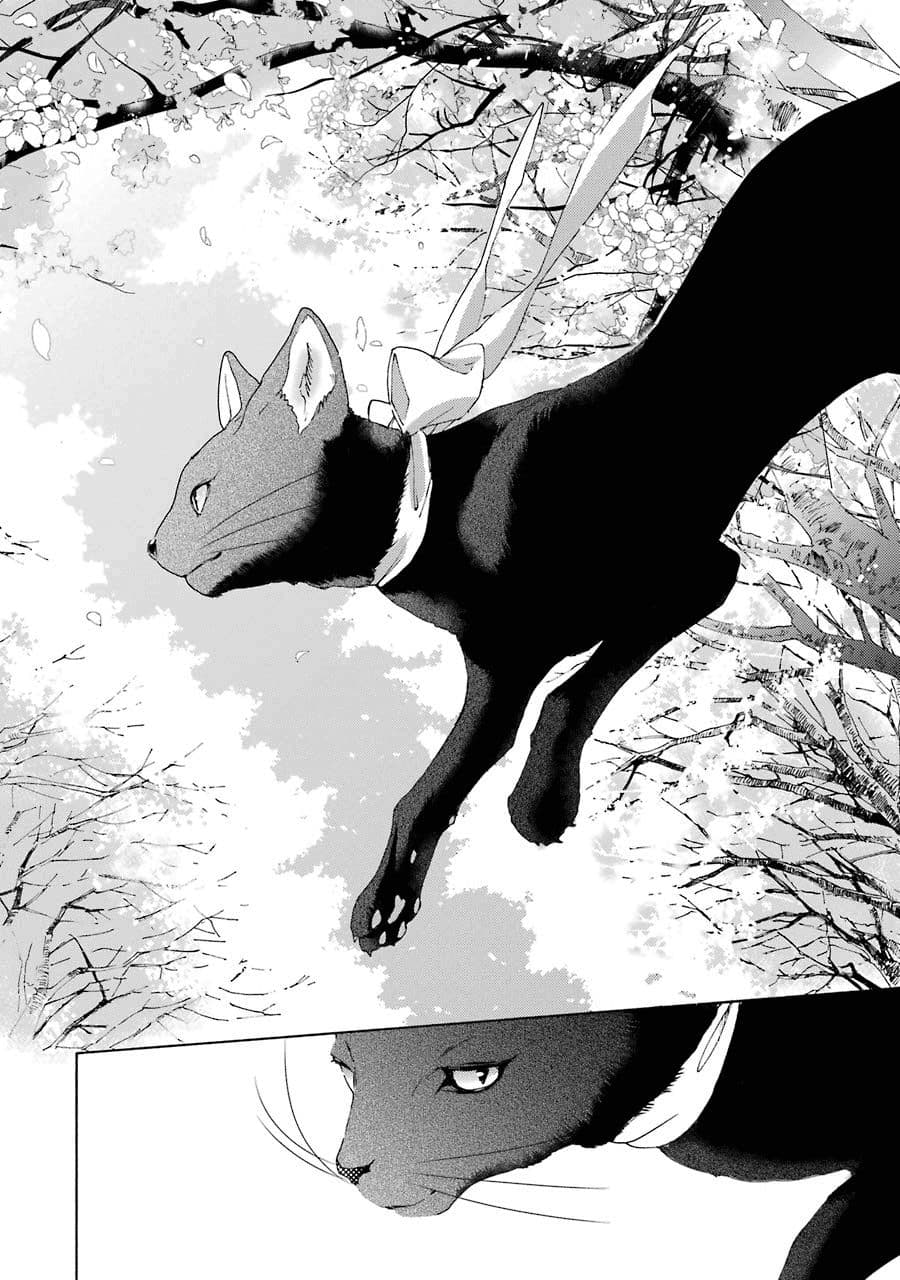Shiraishi-kun's Classmates 1-1