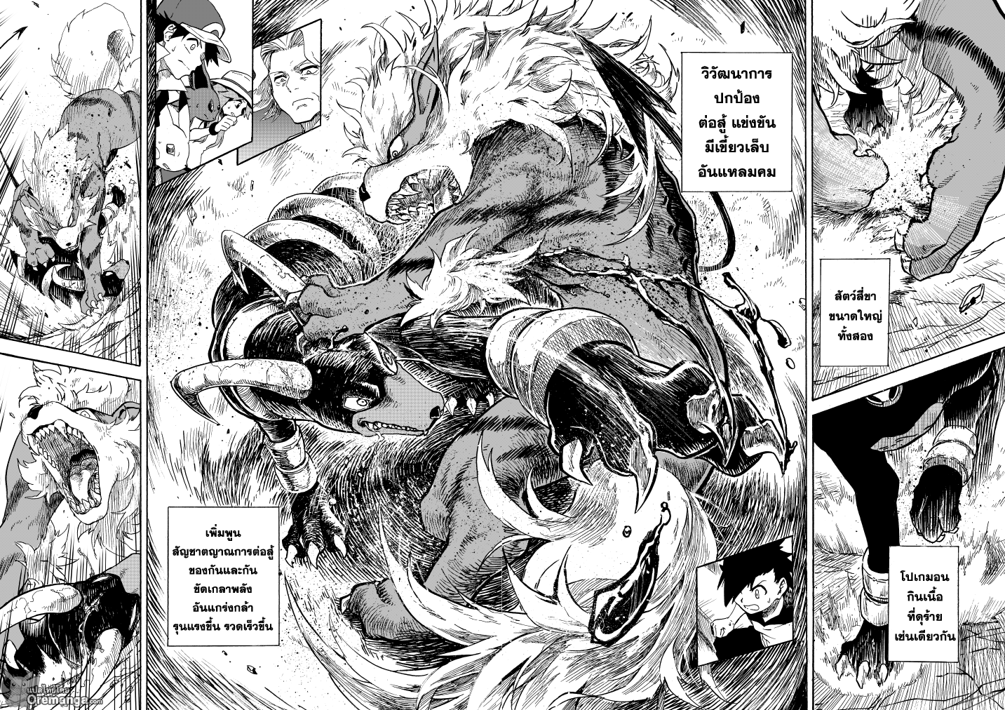 Pokemon Ouja no Saiten 10-การต่อสู้ของสัตว์ร้าย