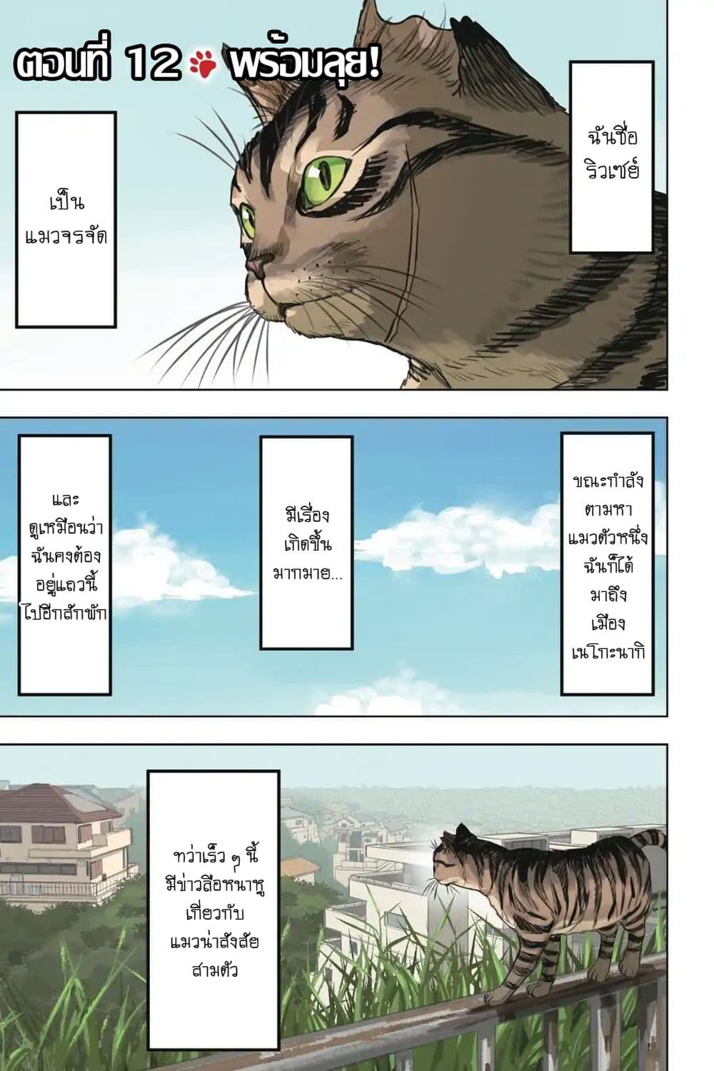 Nyankees 12-พร้อยลุย!