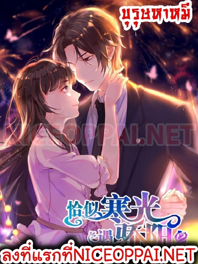 Perfect Secret Love: The Bad New Wife is a Little Sweet 12-12