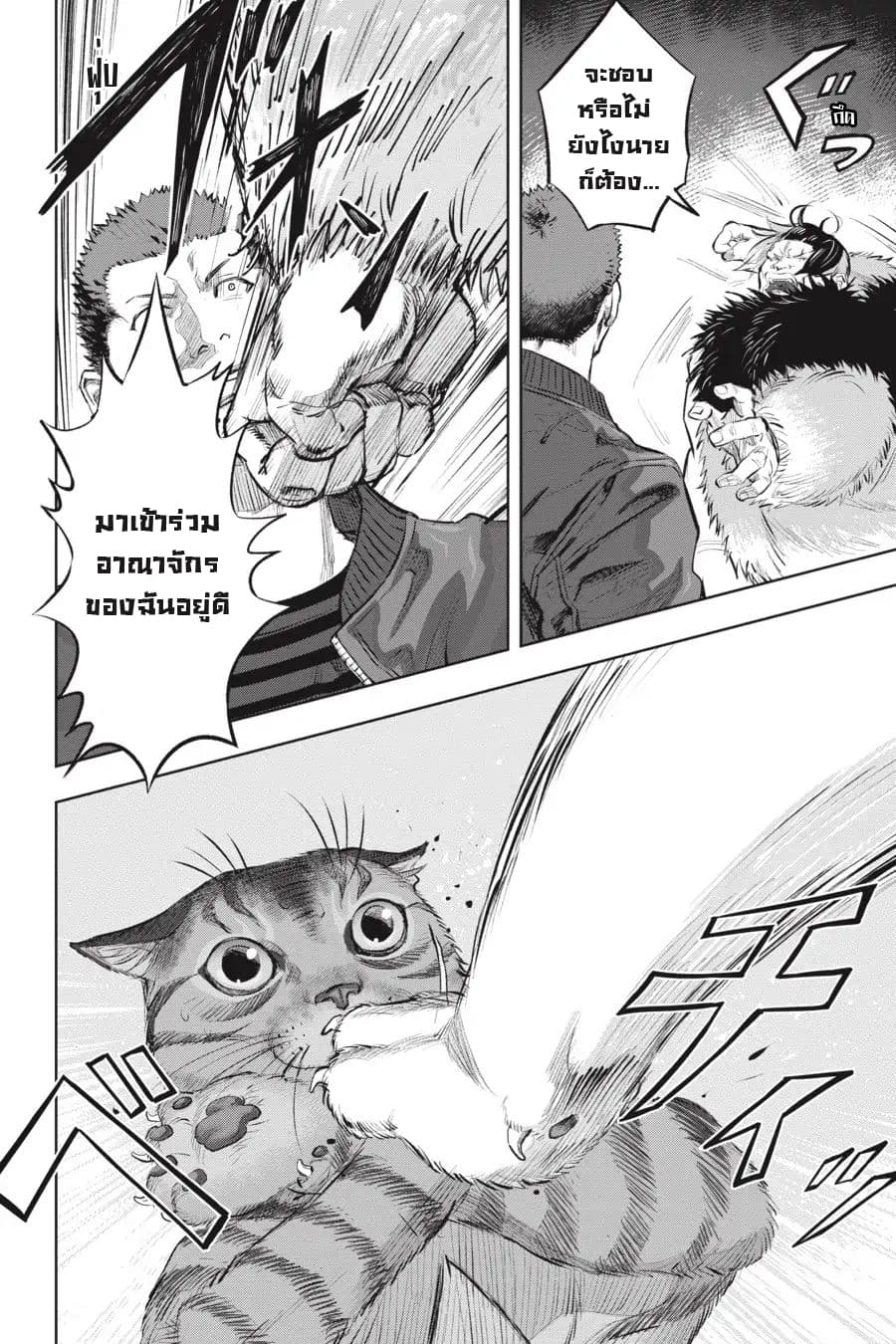 Nyankees 8-วิถีชีวิตของแมว