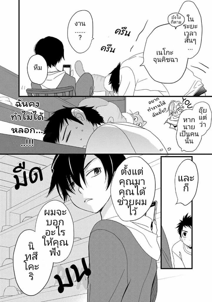 Junkissa Neko 3-3