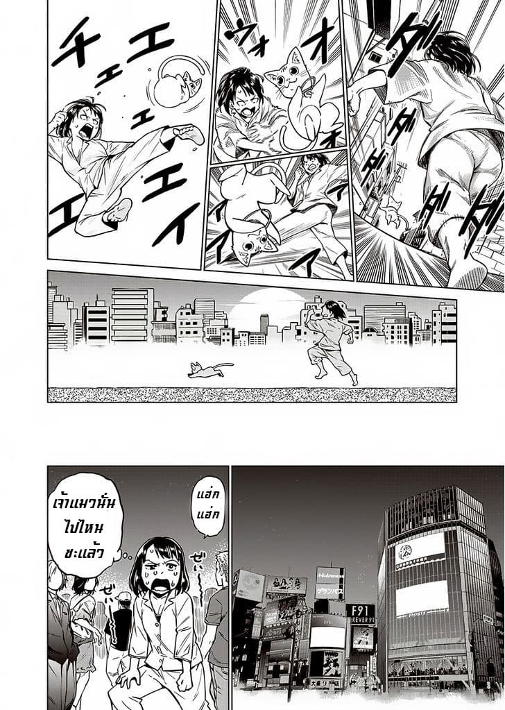Dolkara 1-1