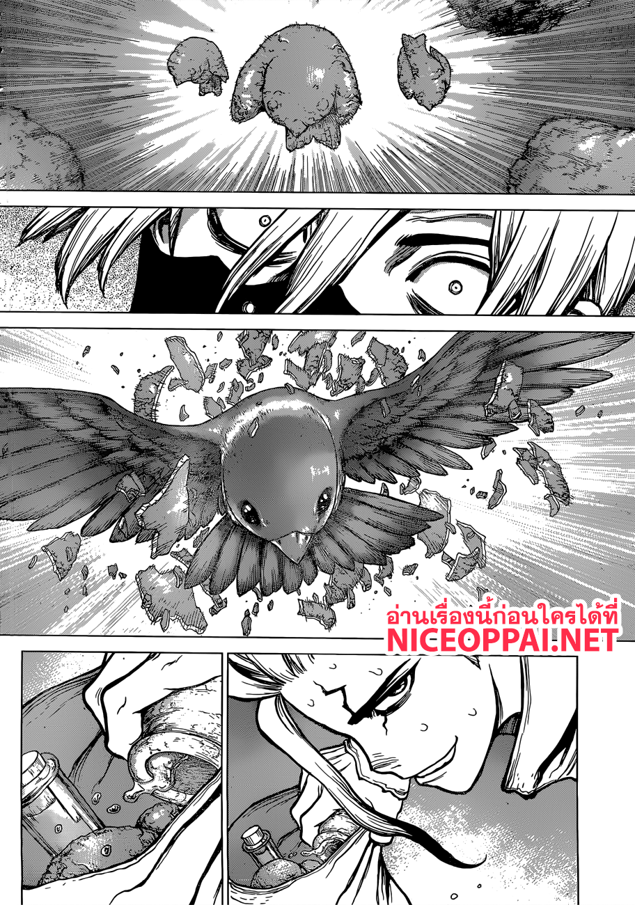 Dr.Stone 80-คู่หูที่แข็งแกร่งที่สุดของมนุษยชาติ