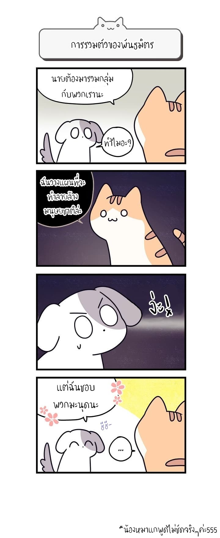 Cats Own The World 2-2