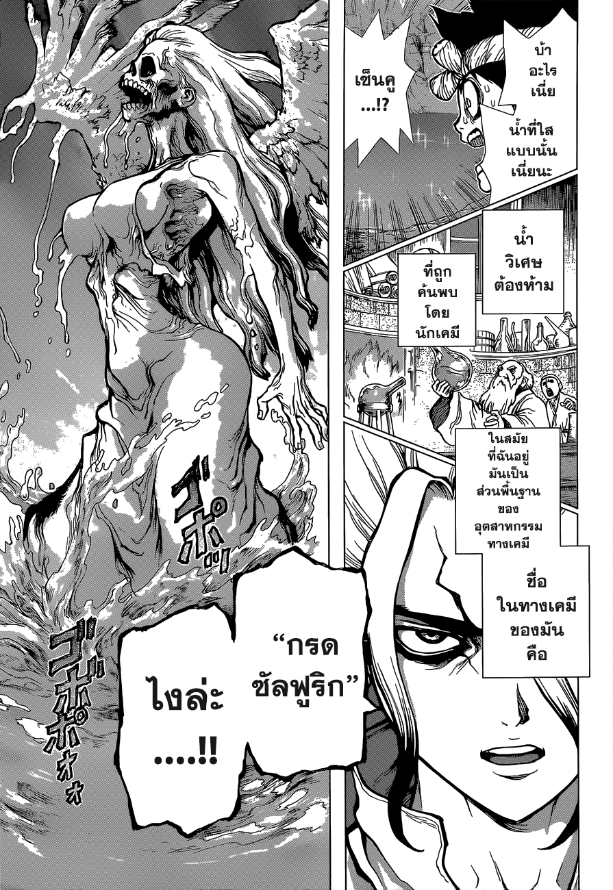 Dr.Stone 30-Death Green