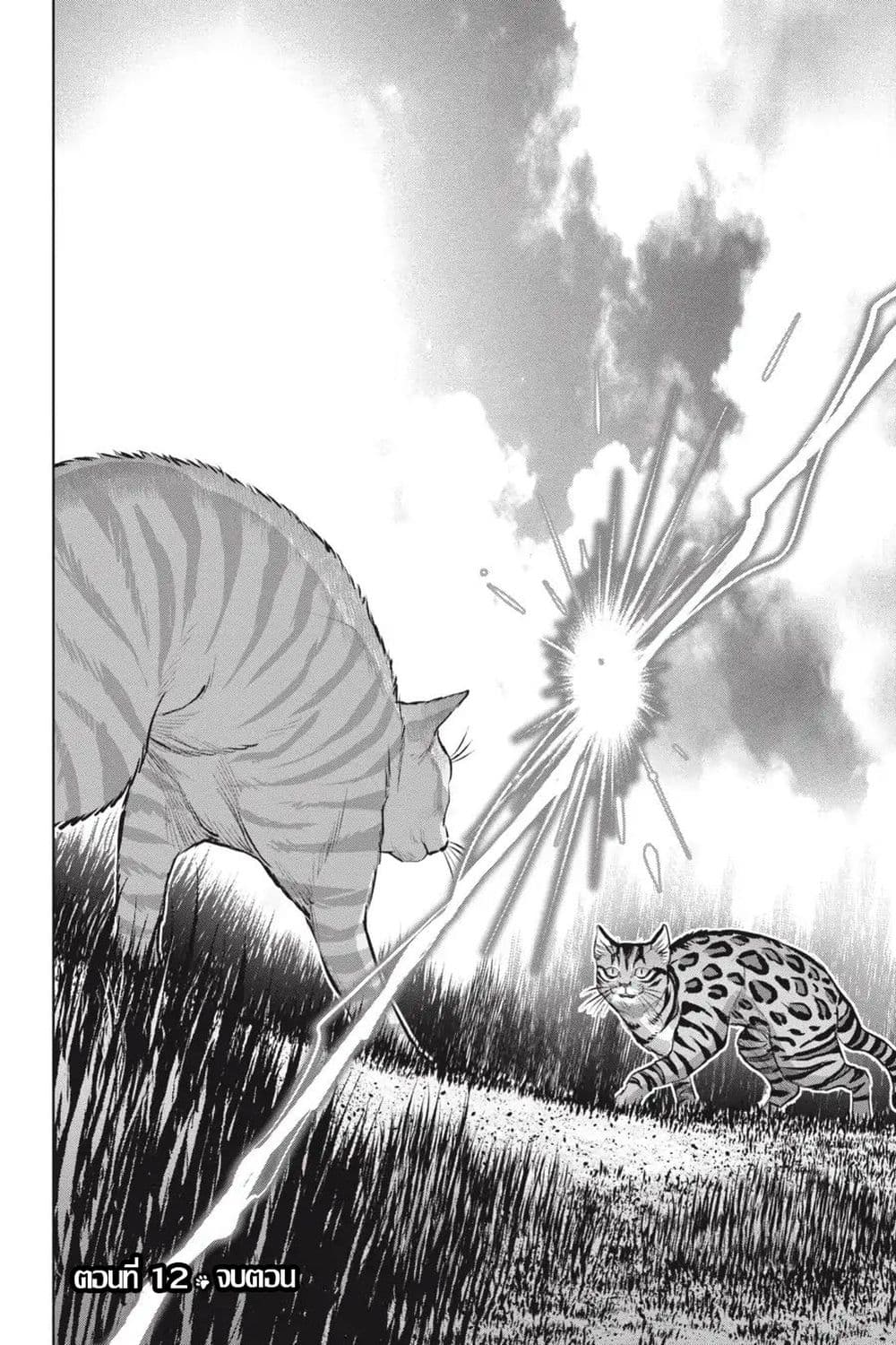 Nyankees 12-พร้อยลุย!