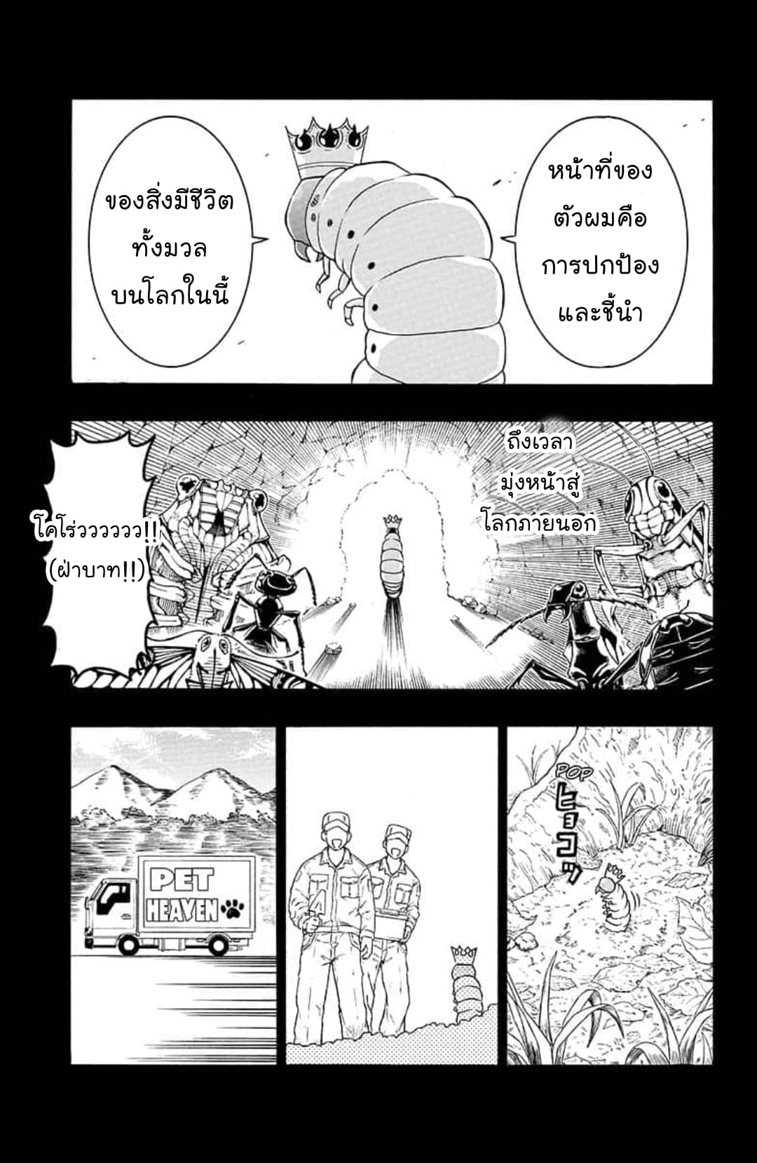 Shinrin Ousha Mori King 1-1
