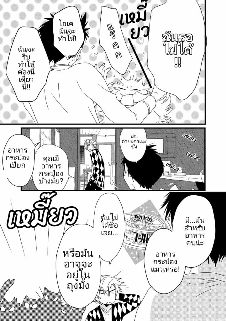 Junkissa Neko 3-3