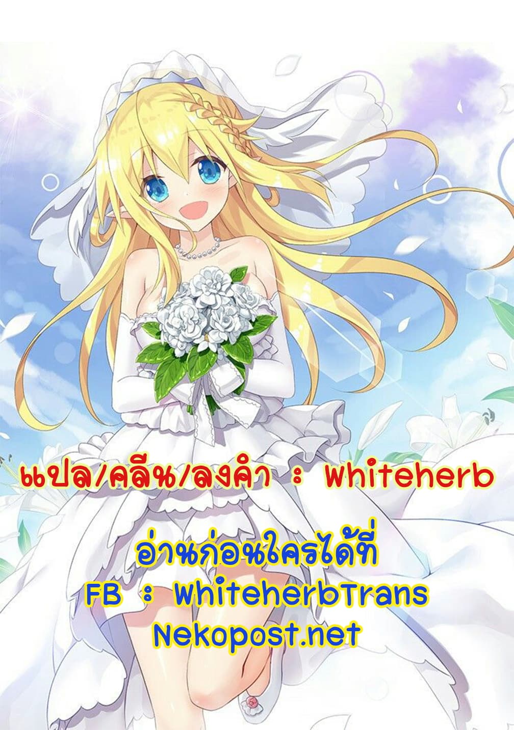 Saikyou no Shuzoku ga Ningen datta Ken เผ่ามนุษย์แกร่งสุดโลก 37-37