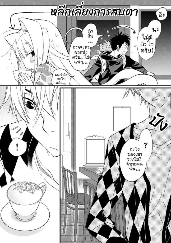 Junkissa Neko 4-4