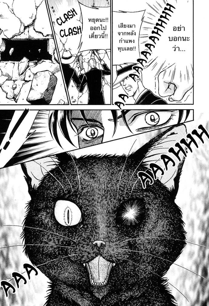 The Black Cat 1-1