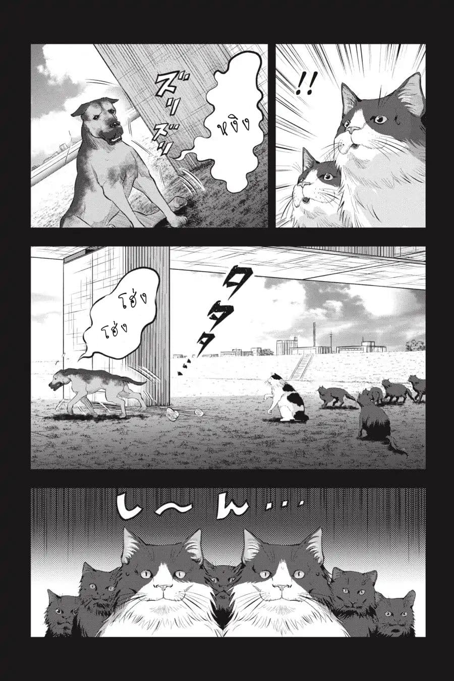 Nyankees 7-หญิงแกร่ง