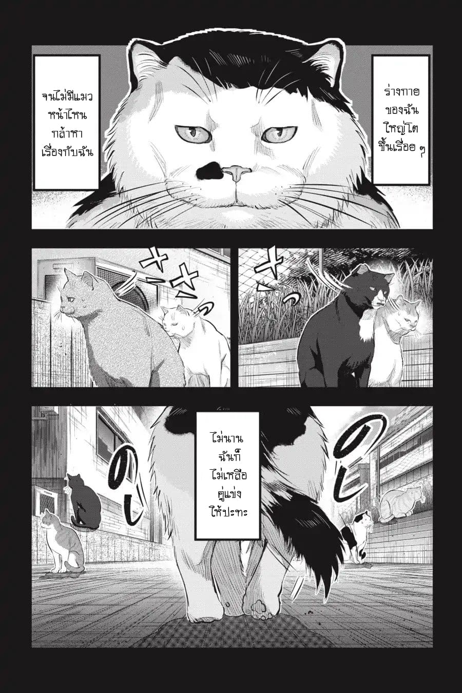 Nyankees 7-หญิงแกร่ง