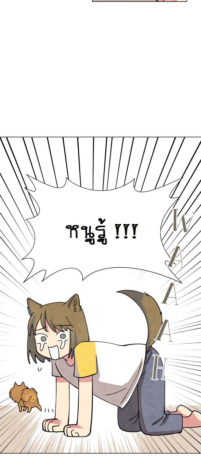 The Little Red Riding Hood 1-1