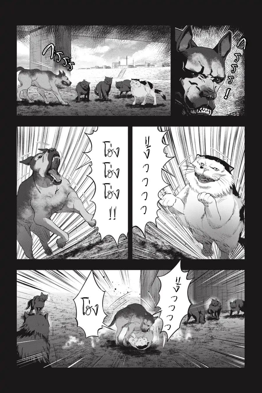 Nyankees 7-หญิงแกร่ง