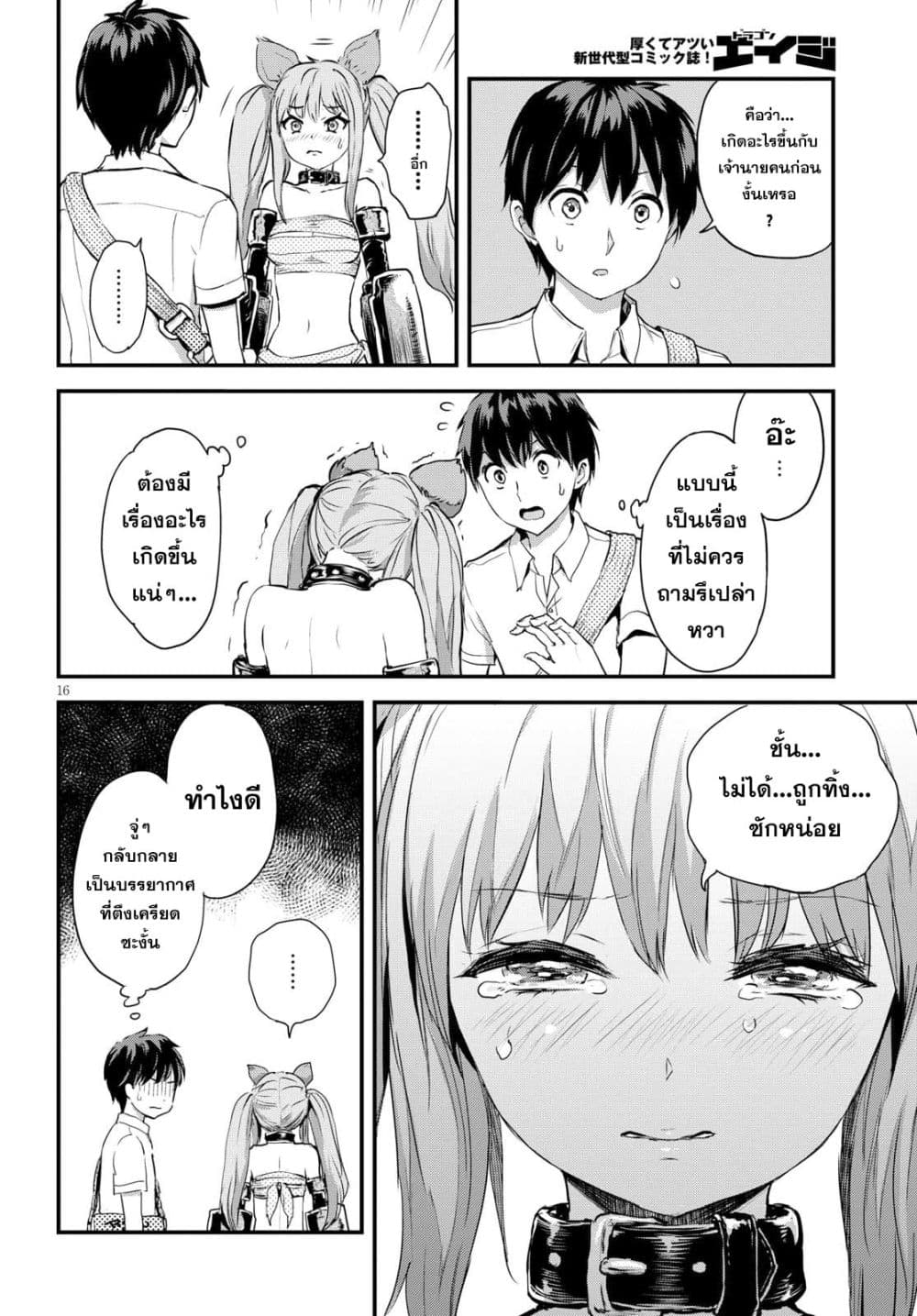 Alcafus 2-ดูแล