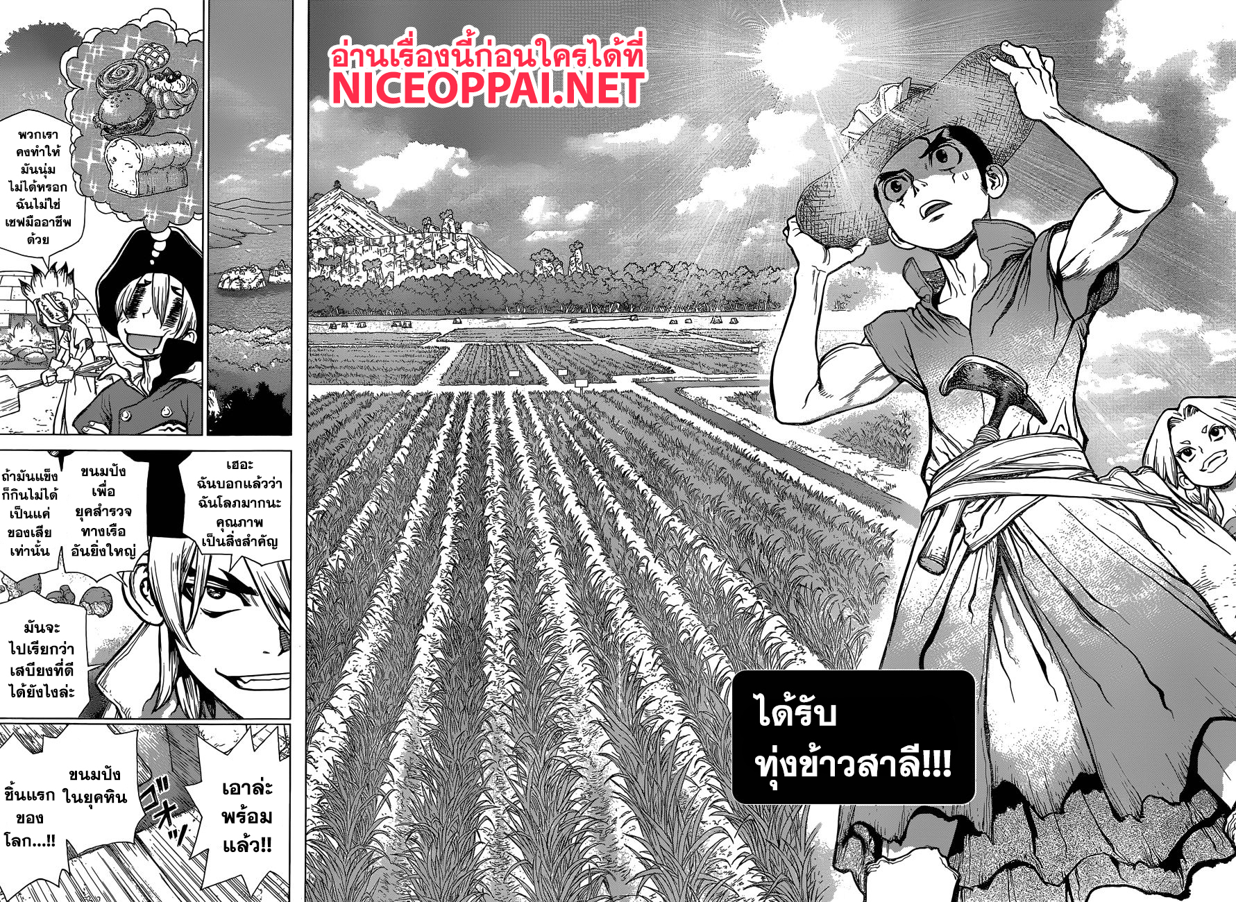 Dr.Stone 91-ถ้าไร้ซึ่งขนมปัง งั้นก็ทำมันจากข้าวสาลี