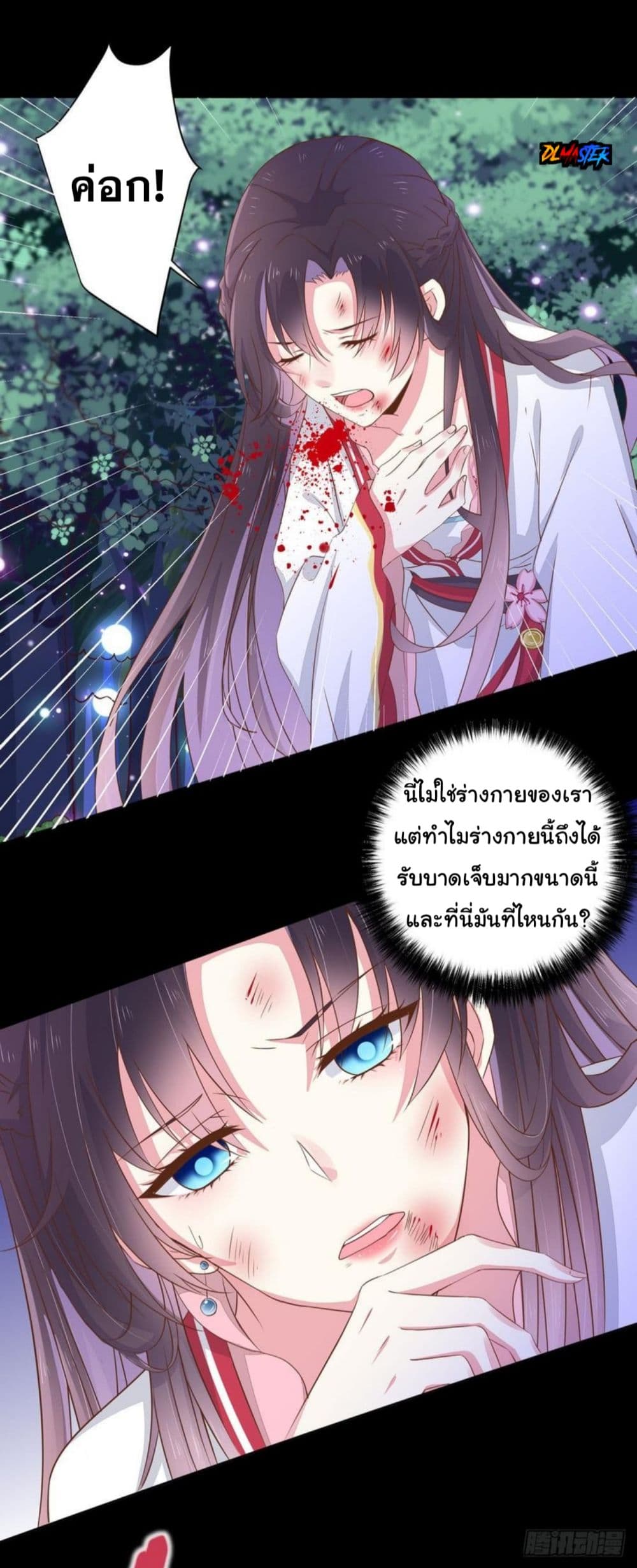 Pupillary Master 2-2