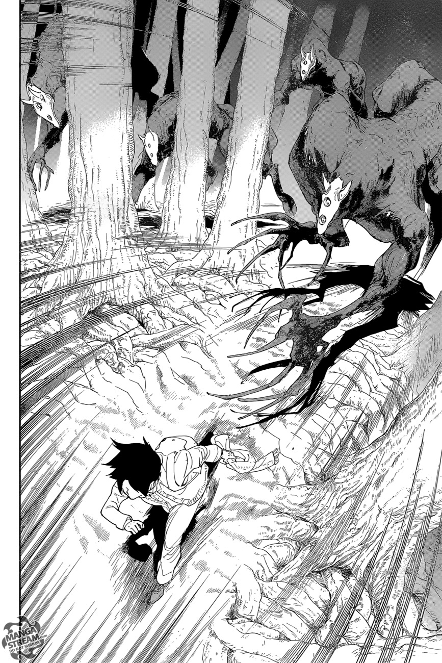 The Promised Neverland 43-81194