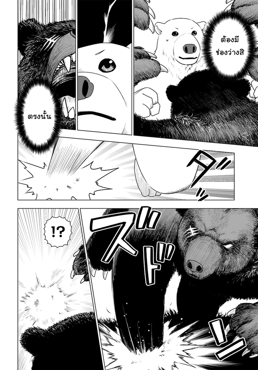 Shirokuma Tensei 6-เผชิญหน้าอีกครั้ง (2)
