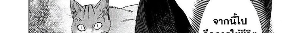 One Punch Man 116-เล่น
