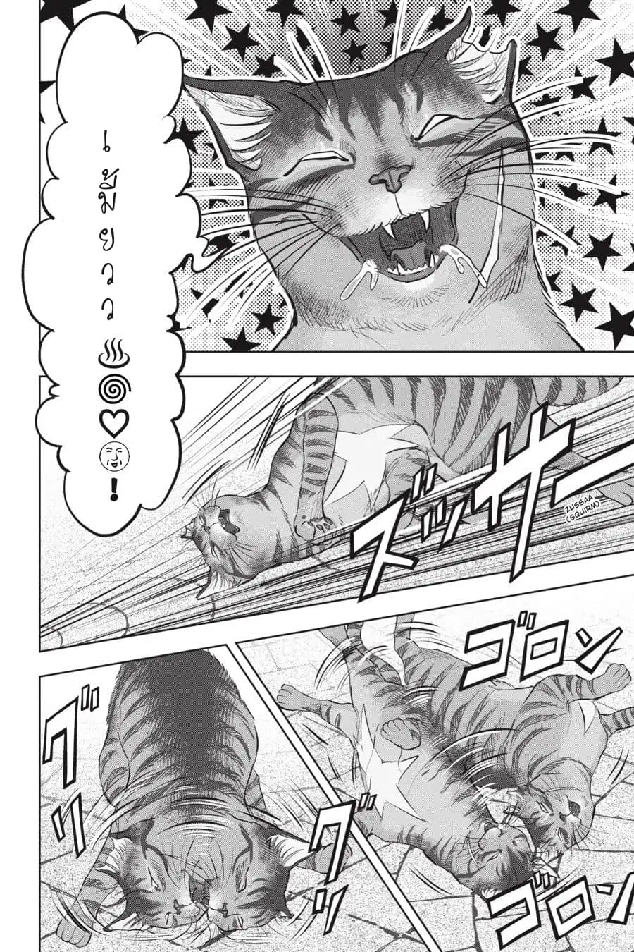 Nyankees 14-กลับมาพบกันอีกครั้ง