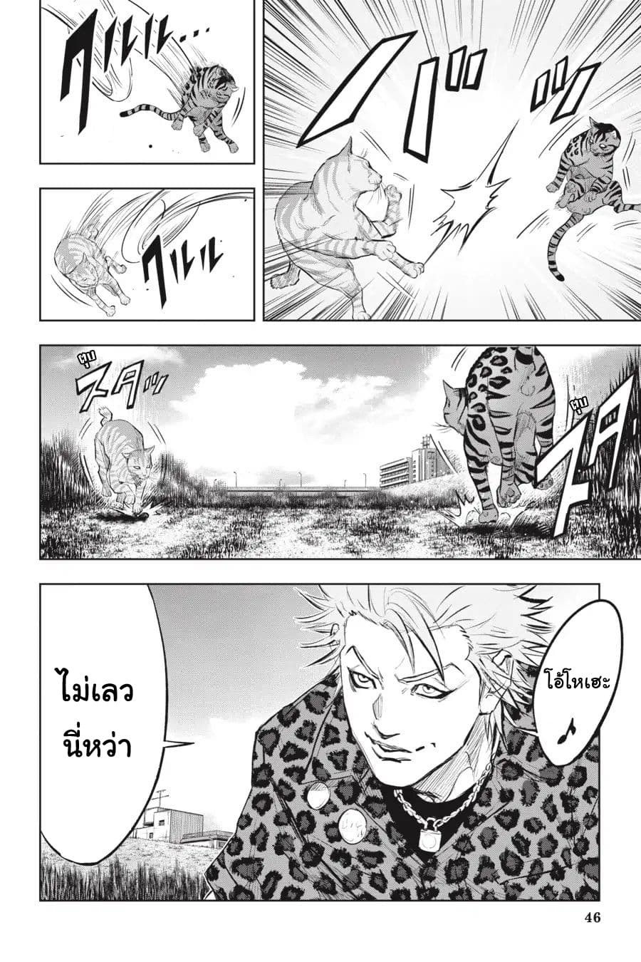 Nyankees 13-อ้วกก้อนขน