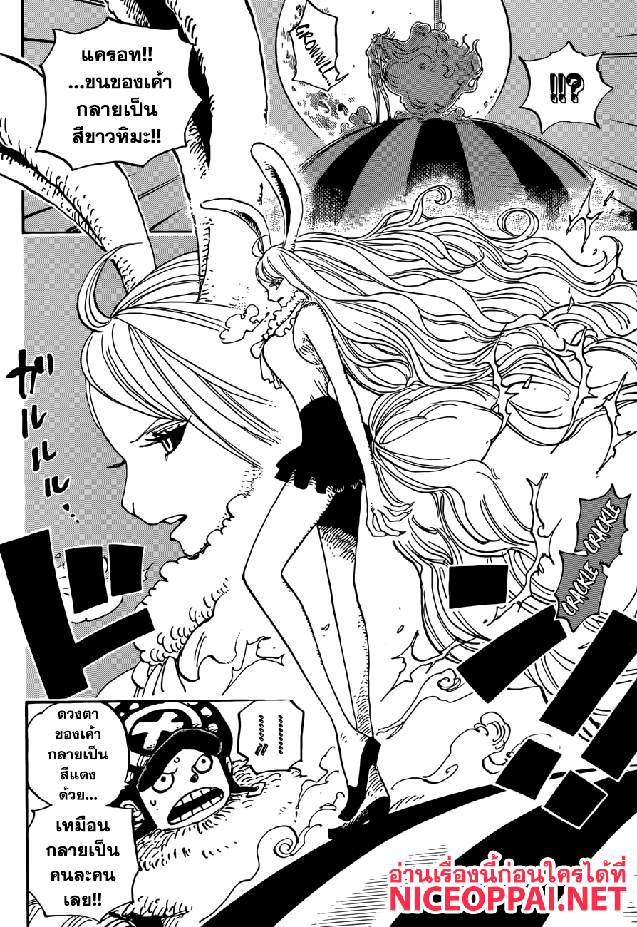 One Piece 888-สิงห์