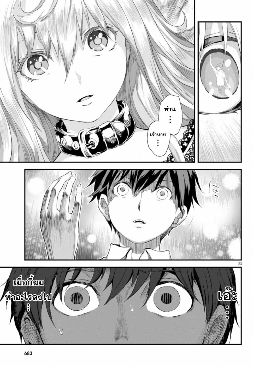 Alcafus 13-สัญญาณ