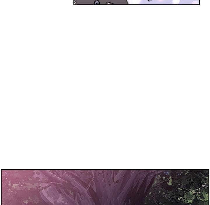 SuperNova 48-48